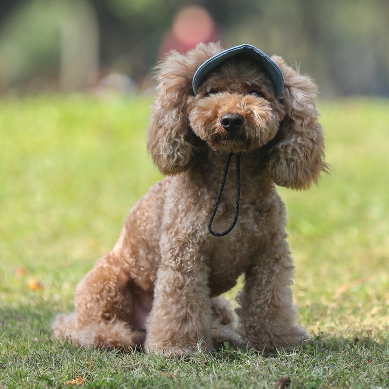 Pet Hat With Ear Holes Dog Sport Baseball For Sun Protection Adjustable Buckle Design Outdoor Wear-Resistant Dog Cap